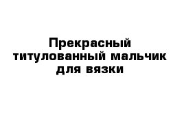 Прекрасный титулованный мальчик для вязки